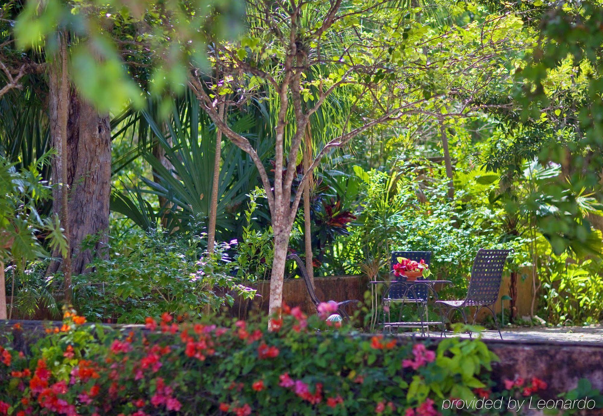 Hacienda Santa Rosa De Lima Hotel Exterior photo